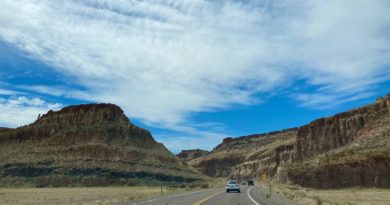 There’s Something Pitiful About This