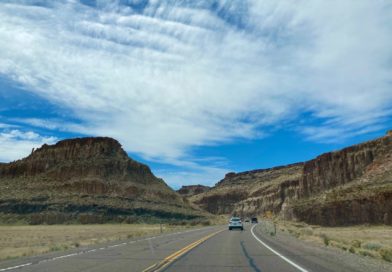 There’s Something Pitiful About This