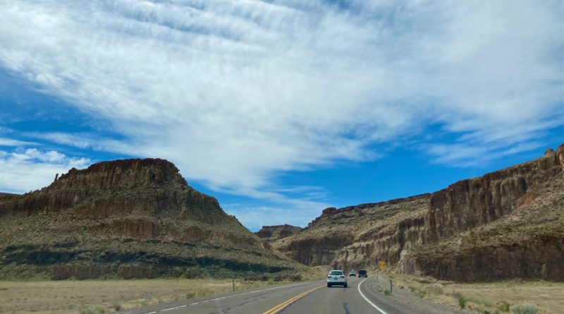 There’s Something Pitiful About This