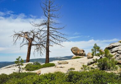 I’m Obstinate, Cynical, Jaded – I Want Facts