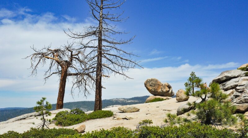 I’m Obstinate, Cynical, Jaded – I Want Facts