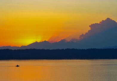 Nostalgia Strikes Back Again