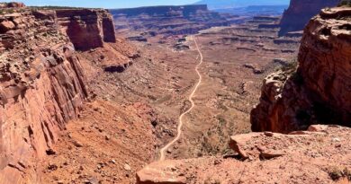 Airways vs. Highways – How to Travel